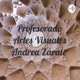 Profesorado Artes Visuales Andrea Zárate 