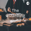 The wizarding world - Suleman Ahmed