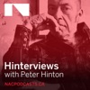 Hinterviews artwork