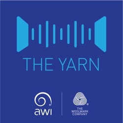 The Yarn