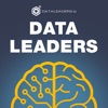 Data Leaders artwork