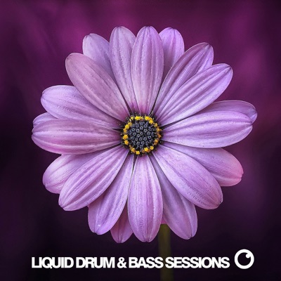 Liquid Drum and Bass Sessions:Fokuz Recordings