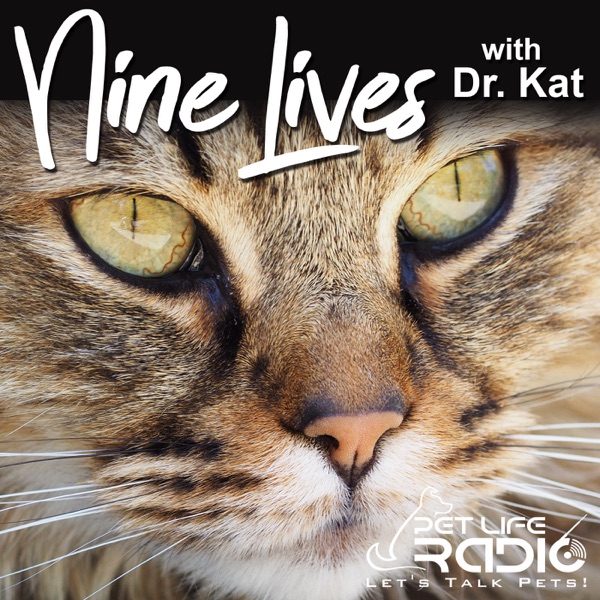 Nine Lives with Dr. Kat - Cat podcasts for cat lovers on Pet Life Radio (PetLifeRadio.com)