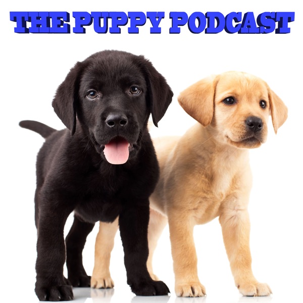 The Puppy Podcast