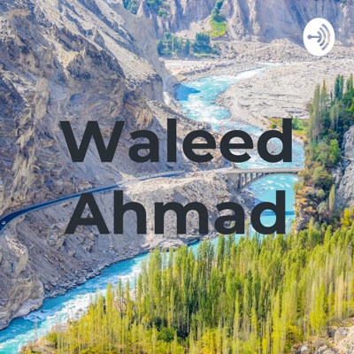 WNC Podcast:Waleed Ahmad