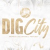 Dig City - Purdue Volleyball Podcast artwork