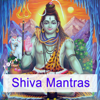 Shiva Mantras - Sukadev Bretz - Joy and Peace through Kirtan
