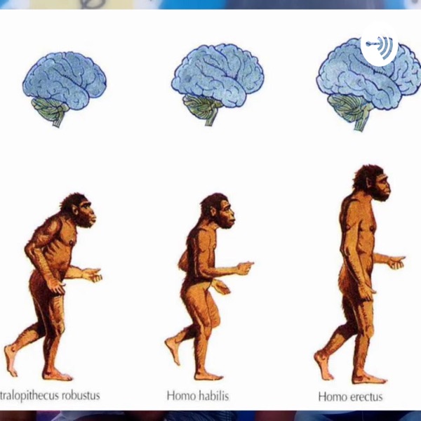 Um pouco sobre Antropologia Evolucionária