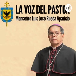 Miércoles de la XVI semana del tiempo ordinario 2020
