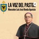 Domingo XVII del tiempo ordinario 2020