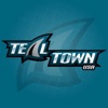 Teal Town USA artwork