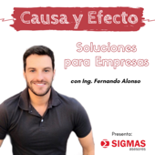 “ Causa y Efecto” - Soluciones para Empresas