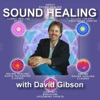 Sound Healing with David Gibson artwork
