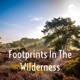 Footprints In The Wilderness