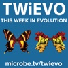 This Week in Evolution artwork