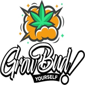 Grow Bud Yourself Episode 42
