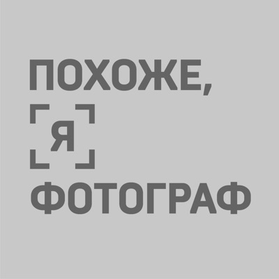 Похоже, я фотограф Похоже, я фотограф
