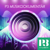 P3 Musikdokumentär - Sveriges Radio