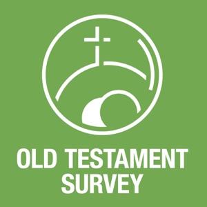 OT Survey: 2 Samuel: Part 5