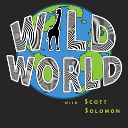 Wild World Presents 