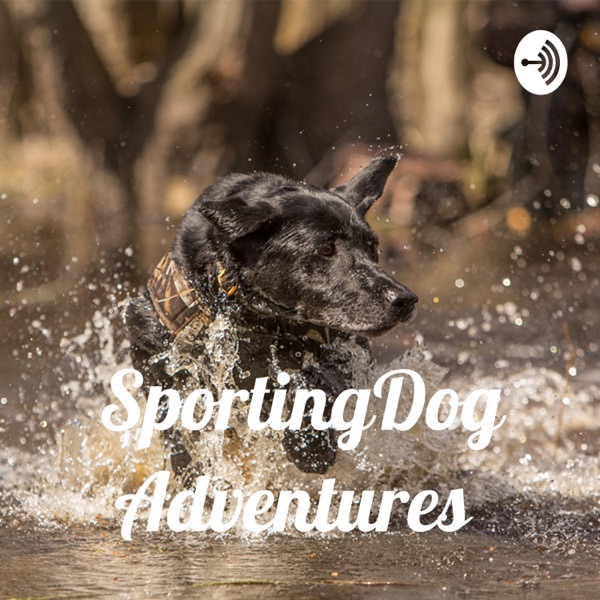 SportingDog Adventures PodCast