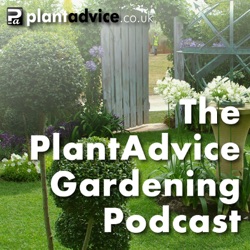 Episode 28: Chelsea Flower Show Interviews & Gardening Jobs for July