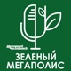 Как освещать экотемы, чтобы не навредить окружающей среде
