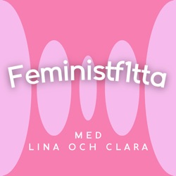 Olika aspekter av feminism med Emelie Nyman
