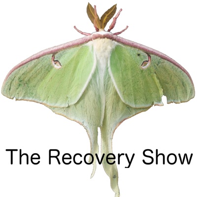 The Recovery Show » Finding serenity through 12 step recovery in Al-Anon – a podcast:The Recovery Show