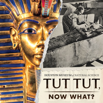Tut Tut, Now What?