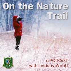 On the Nature Trail - A Podcast
