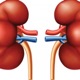 INSUFICIENCIA RENAL CRÓNICA 