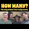 How Many Podcast artwork