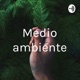 Medio ambiente