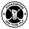 Changing On The Fly artwork
