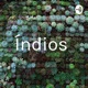 Índios 