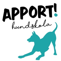 Apport hundskola