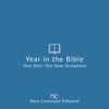 Year in the Bible artwork