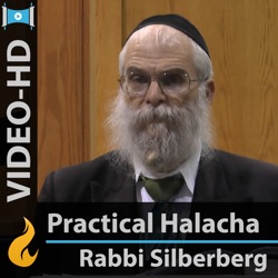 Halachic Issues and the Chassidic Movement, Part 6