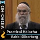 Halachic Issues and the Chassidic Movement, Part 6