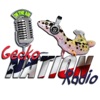 Gecko Nation Radio artwork