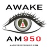 Native Roots Radio Network artwork