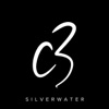 C3 Silverwater artwork