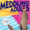 Meddling Adults artwork