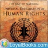 Universal Declaration of Human Rights by United Nations artwork