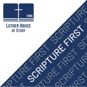 You Brood of Vipers! (Matthew 3:1-12 with Sarah Stenson)