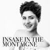 Insane In The Montaigne artwork