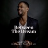 Between The Dream artwork