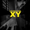 Cromosoma XY