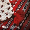 SBS Romanian - SBS in limba romana artwork